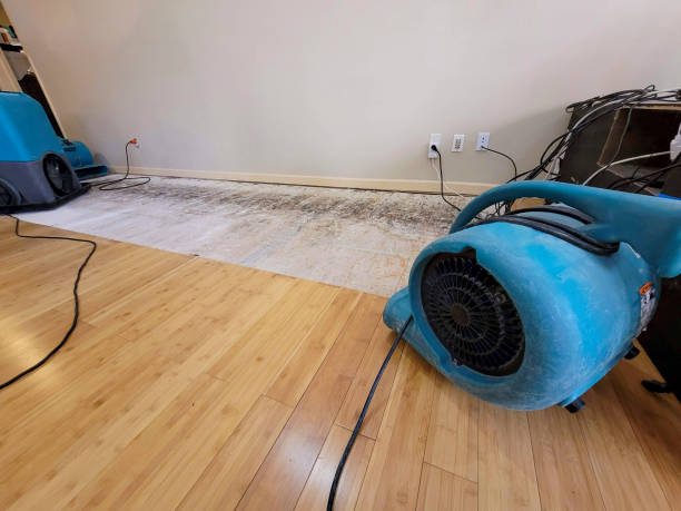 Professional Basement Flood Cleanup technician working in Smithville, NJ
